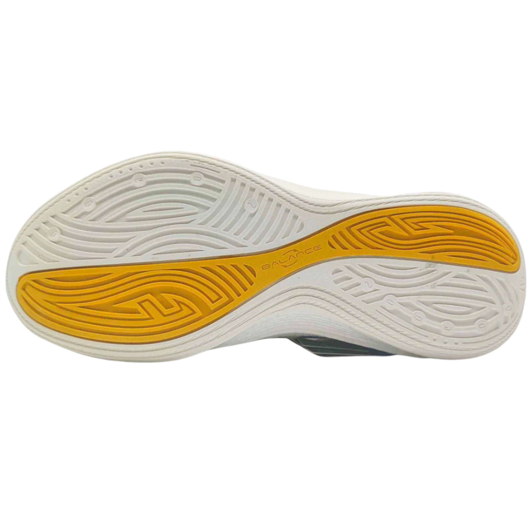 LEVEL UP 3-Denver- rainbow Egret-Yellow Training Basketball
